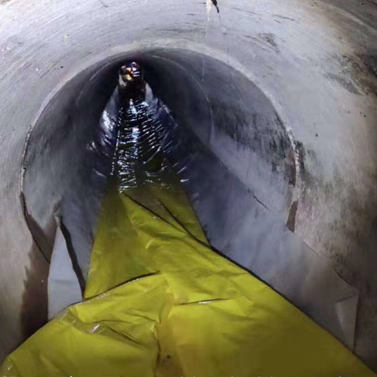 萨尔图管道光固化修复